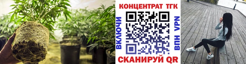 закладка  Борзя  Дистиллят ТГК вейп с тгк 