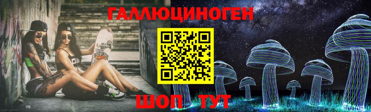 Галлюциногенные грибы Psilocybine cubensis Борзя